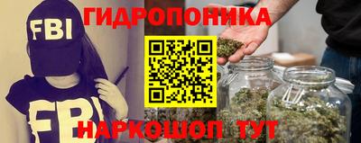 марихуана Будённовск