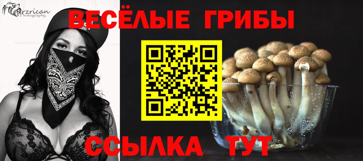 Галлюциногенные грибы Cubensis  Вход с VPN  Похвистнево 